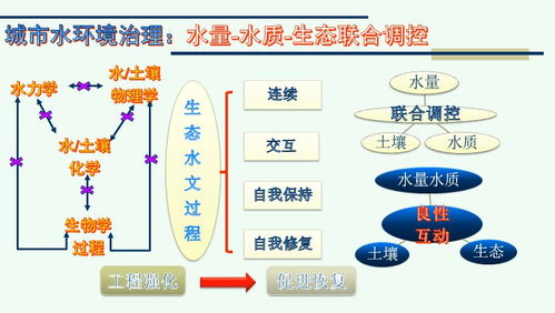 郑兴灿 城市水污染控制与水环境治理的若干问题探讨