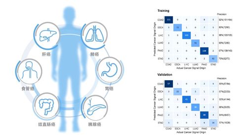 专访和瑞基因周珺 基于底层技术完成 0 1 到 1 多 的突破,打造更贴合国内癌症筛查市场的产品